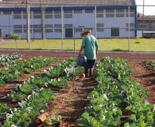 Casa de Custodia de Maringa - Execucao de servicos de  engenharia comuns e reparos -  03/08/2020 -  Foto: Geraldo Bubniak/AEN
