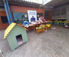 Projeto Pipoca: Detentos produzem materiais para animais de rua, na Cadeia Pública de Toledo (PR)