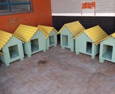 Projeto Pipoca: Detentos produzem materiais para animais de rua, na Cadeia Pública de Toledo (PR)