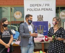 Projeto Pipoca: Detentos produzem materiais para animais de rua, na Cadeia Pública de Toledo (PR)