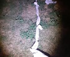 Agentes penitenciários impedem fuga de quatro presos da PECO