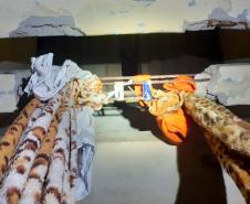 Agentes penitenciários impedem fuga de quatro presos da PECO