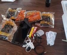 agente penitenciário é flagrado ao tentar entrar com ilícitos em unidade penal