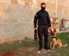 Secretário da Segurança Pública do Paraná participa da Inauguração da Base de Operações com Cães da SOE em Maringá