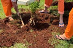 Capacitação em jardinagem prepara pessoas privadas de liberdade para o mercado de trabalho em Cascavel