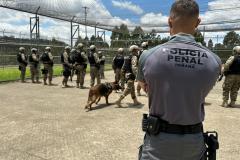 Polícia Penal do Paraná