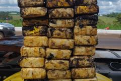 Polícia Penal do Paraná