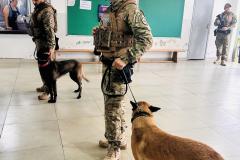 Polícia Penal do Paraná