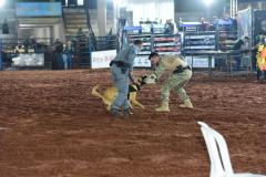 Polícia Penal do Paraná