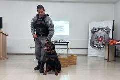 Polícia Penal do Paraná