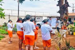 Cadeia Pública Feminina de Alto Paraná conclui curso de qualificação em olericultura