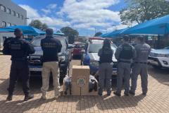 Custodiadas de Goioerê vão produzir cerca de 2 mil perucas com cabelo apreendido pela PRF