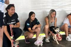 Polícia Penal do Paraná