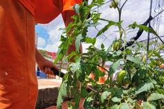 Polícia Penal do Paraná