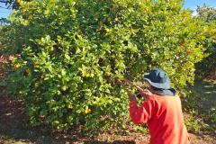 Curso de jardinagem na PIMP-UP transforma rotina e cultiva novos caminhos dentro do cárcere