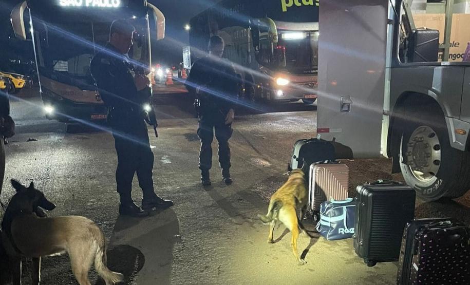 Cães policiais de Londrina participam de operação em conjunto com a PRE