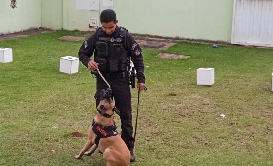 Em parceria com a Secretaria Municipal de Educação, Polícia Penal auxilia em projeto educativo sobre fauna em CMEIs de Maringá