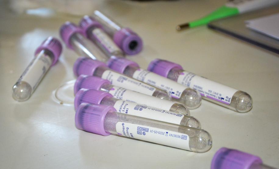 Cães de rua do Complexo Penitenciário de Piraquara recebem atendimento e participarão de feira de adoção na Universidade Positivo, em Curitiba