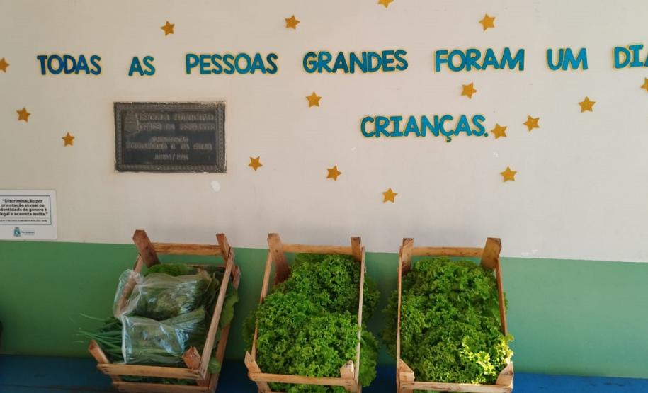 Foto: Polícia Penal do Paraná