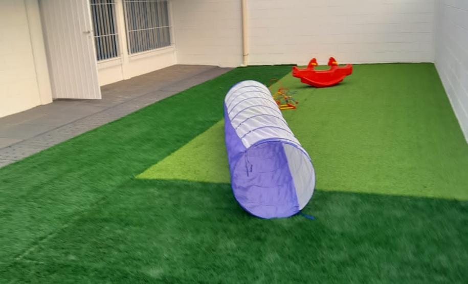 Foto: Polícia Penal do Paraná