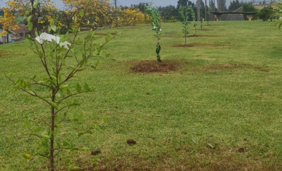 Foto: Polícia Penal do Paraná