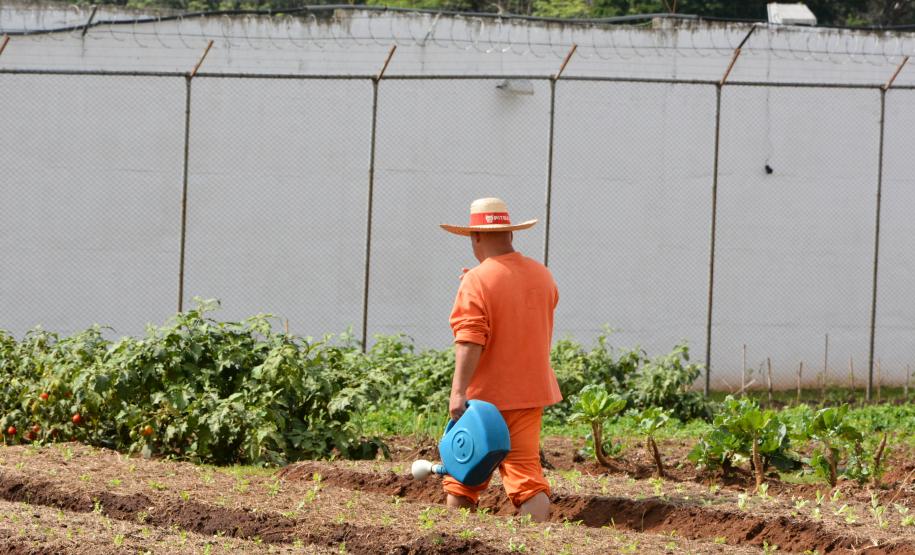 Paraná fecha o ano com mais de 240 novas iniciativas de trabalho aos custodiados do sistema prisional