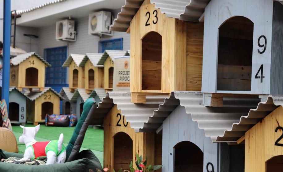 Projeto Pipoca: Polícia Penal entrega casinhas fabricadas por pessoas privadas de liberdade para cães em situação de rua