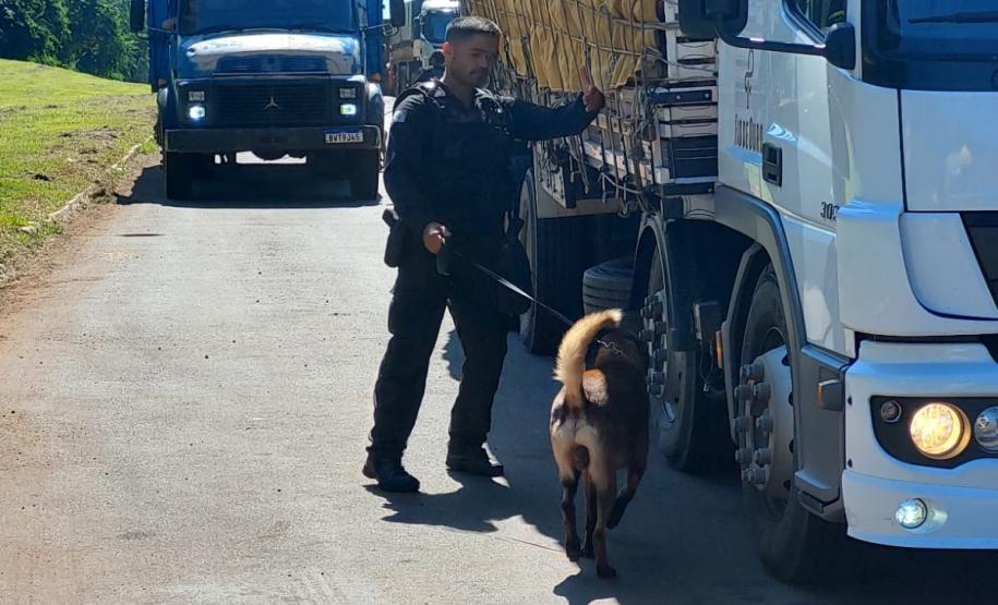 Polícia Penal do Paraná