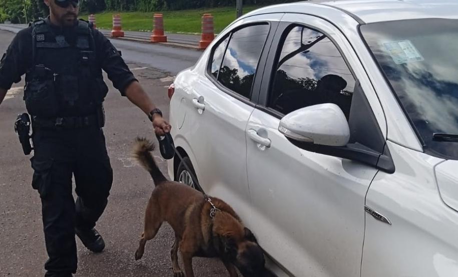 Polícia Penal do Paraná