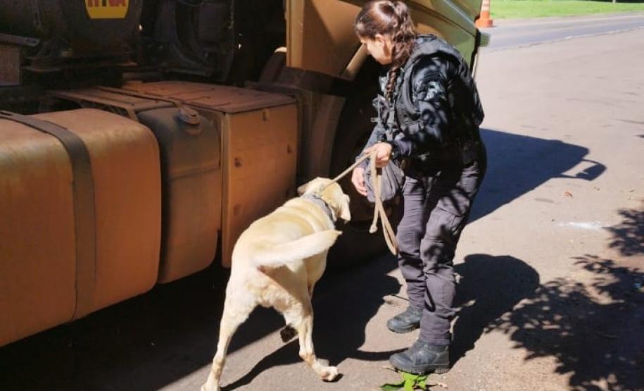 Polícia Penal do Paraná