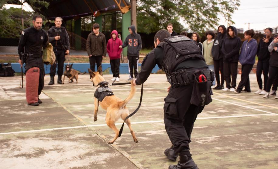 Polícia Penal do Paraná