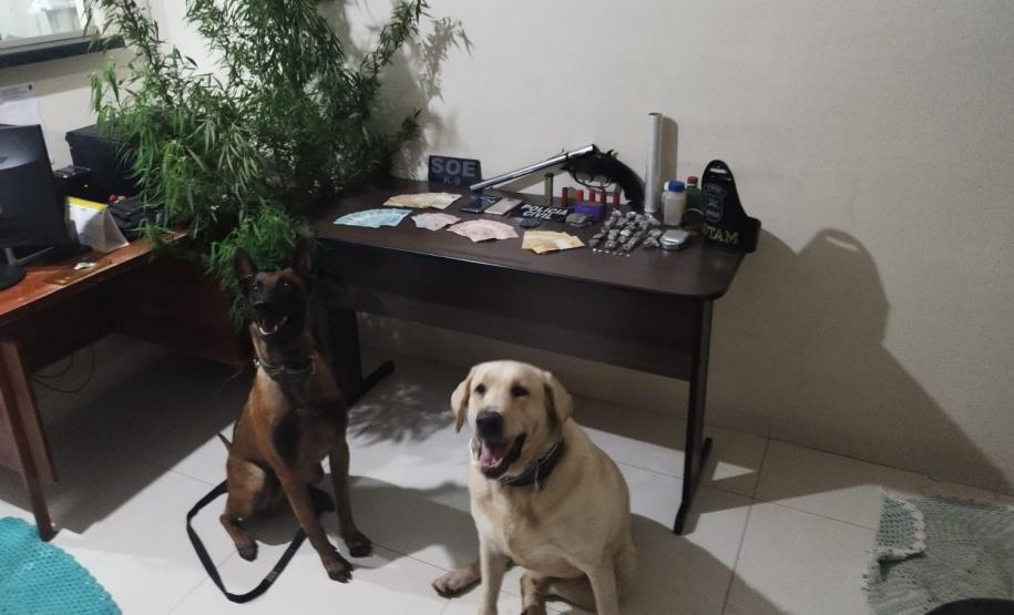 Polícia Penal do Paraná