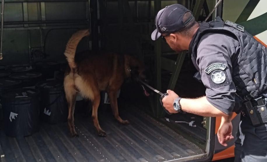Polícia Penal do Paraná