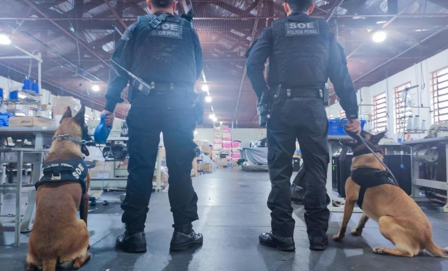 Polícia Penal do Paraná