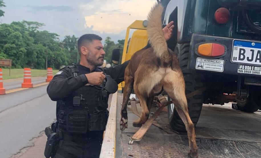 Polícia Penal do Paraná