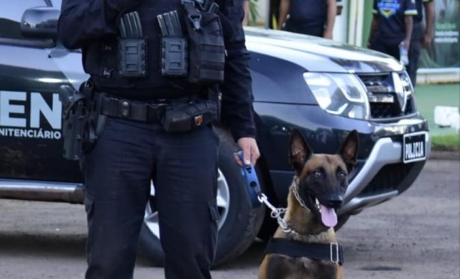 Polícia Penal do Paraná