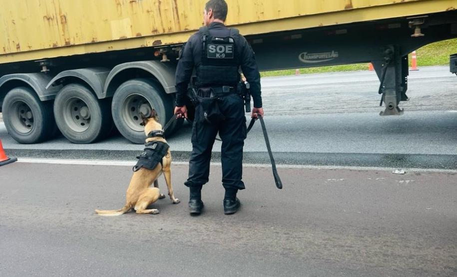 Polícia Penal do Paraná