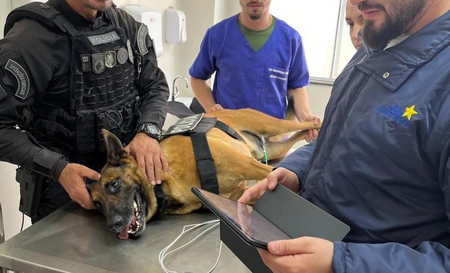 Polícia Penal do Paraná