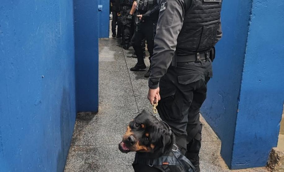 Polícia Penal do Paraná