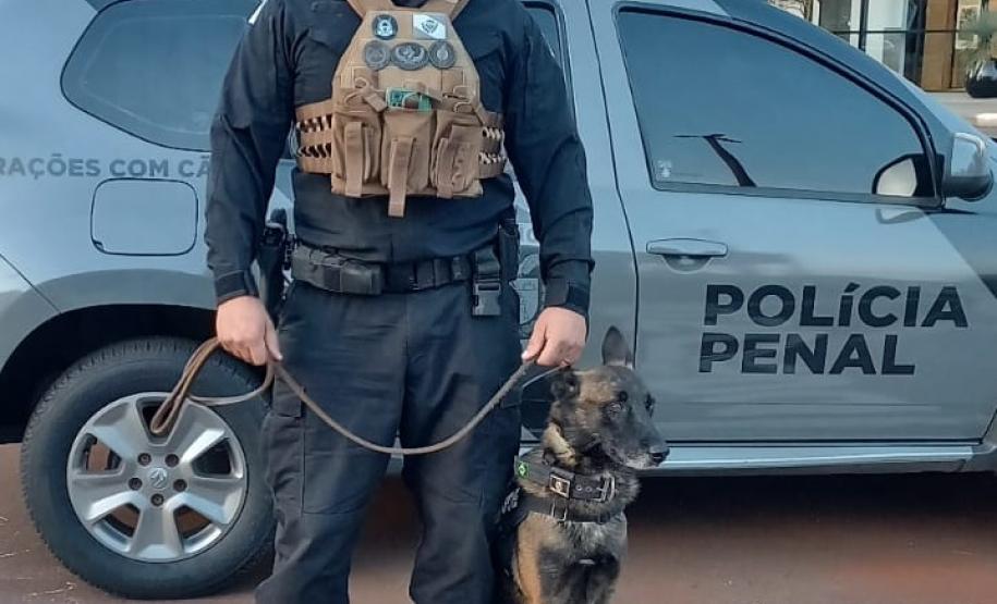 Polícia Penal do Paraná