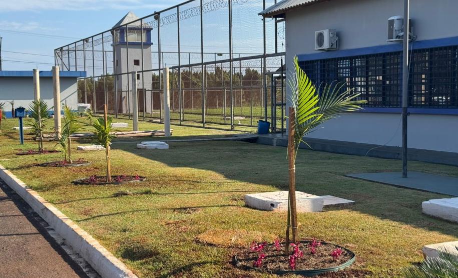 Capacitação em jardinagem prepara pessoas privadas de liberdade para o mercado de trabalho em Cascavel