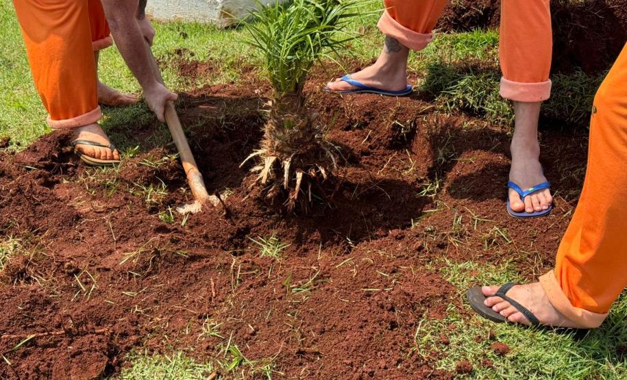 Capacitação em jardinagem prepara pessoas privadas de liberdade para o mercado de trabalho em Cascavel