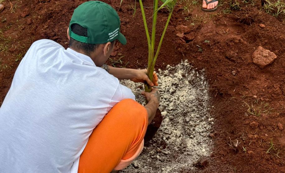 Capacitação em jardinagem prepara pessoas privadas de liberdade para o mercado de trabalho em Cascavel