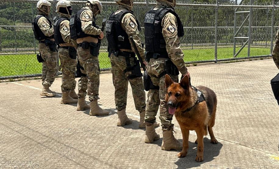 Polícia Penal do Paraná