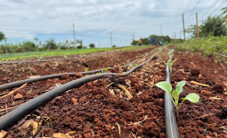 Polícia Penal do Paraná