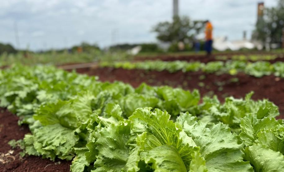 Polícia Penal do Paraná