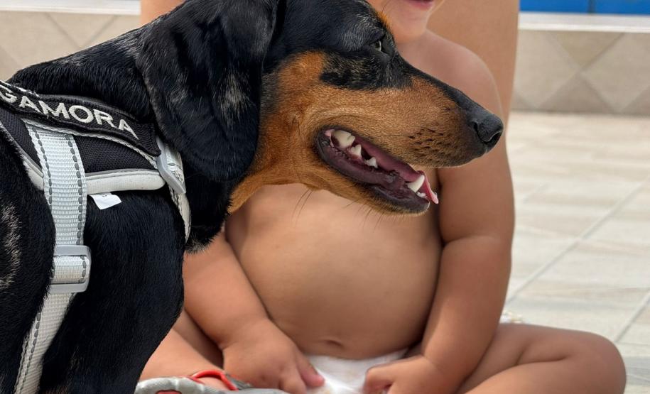 Polícia Penal do Paraná