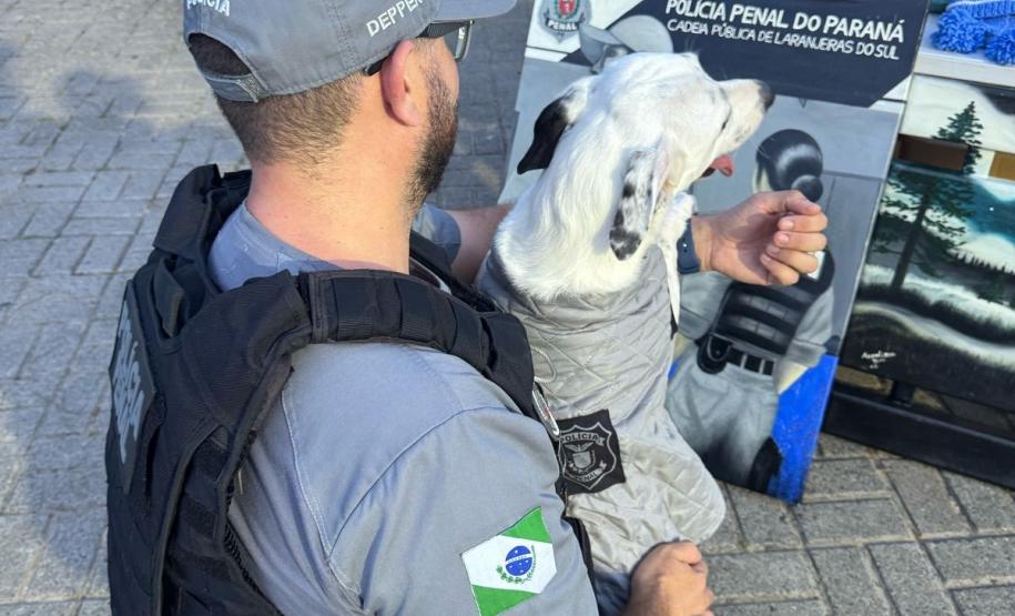 Polícia Penal do Paraná