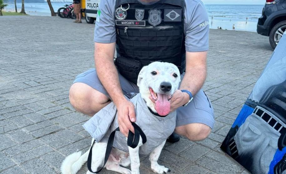 Polícia Penal do Paraná