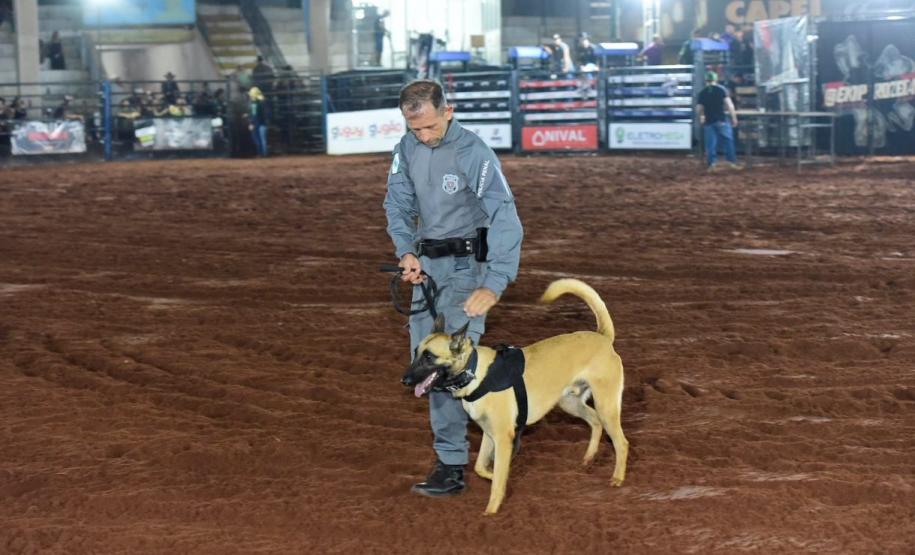 Polícia Penal do Paraná